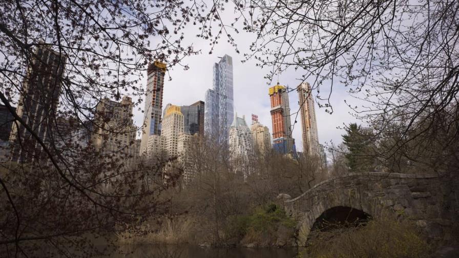 Hombre mata a puñaladas a perro tras discutir con su dueña en el Central Park de Nueva York