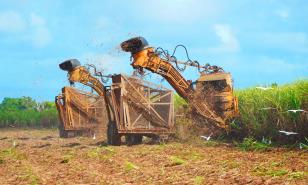 El Central Romana será la primera empresa que visitará Leah Campos