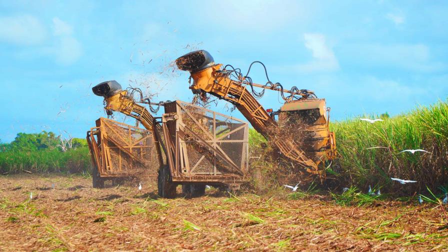 Central Romana cierra zafra con casi un millón de toneladas menos de caña molida