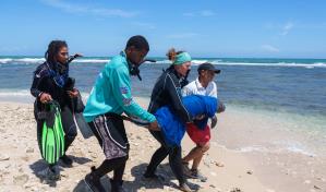 Jean Pedro, la cría de manatí rescatada en San Pedro, es devuelta al Acuario al no encontrar a la madre