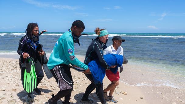 Jean Pedro, la cría de manatí rescatada en San Pedro, es devuelta al Acuario al no encontrar a la madre