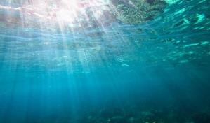 La ONU adopta un tratado histórico para proteger la alta mar