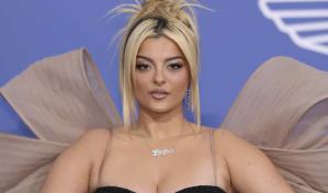 Los cargos que enfrenta el hombre que arrojó un celular a la cantante Bebe Rexha