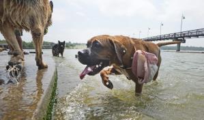 Fuerte calor pone a prueba la red el&eacute;ctrica y la paciencia en Texas