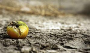 Cambiar nuestra dieta será tan relevante contra el cambio climático como reciclar