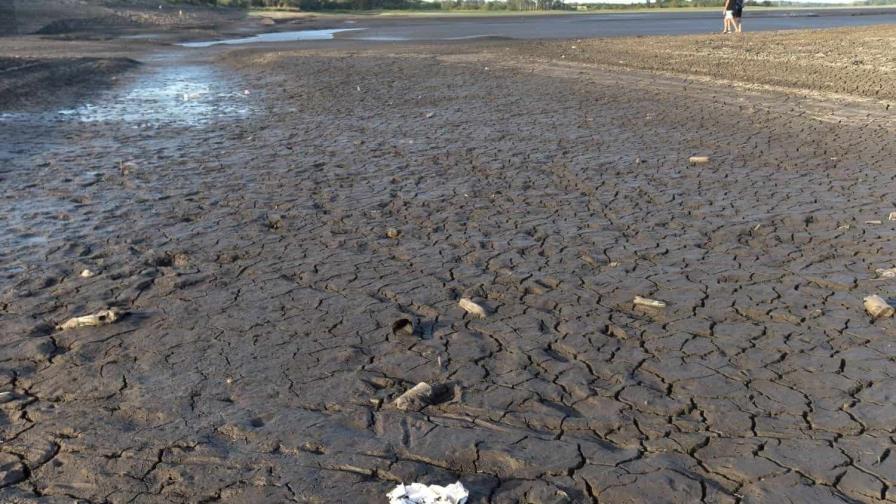 Uruguay decreta emergencia tras siete meses de sequía y con embalse de la capital en mínimos