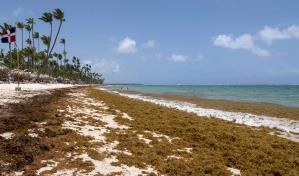 Activan la vigilancia ante fenómenos de salud asociados al sargazo