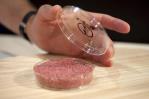 EE.UU. aprueba la venta de carne de pollo creada en laboratorio EE.UU. aprueba la venta de carne de pollo creada en laboratorio