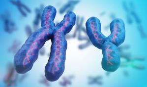 La pérdida del cromosoma Y en los hombres, con la edad, favorece el crecimiento del cáncer