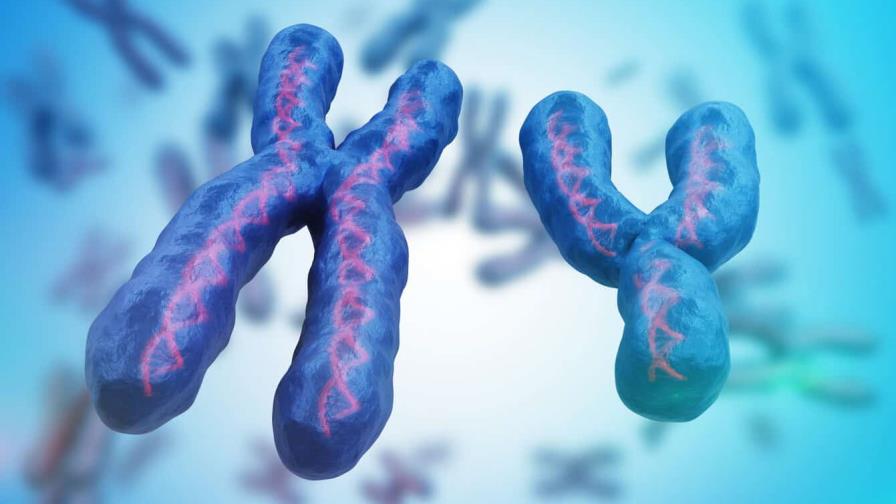 La pérdida del cromosoma Y en los hombres, con la edad, favorece el crecimiento del cáncer