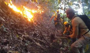 Investigan causa de incendio forestal que afecta Monumento Saltos de Jima