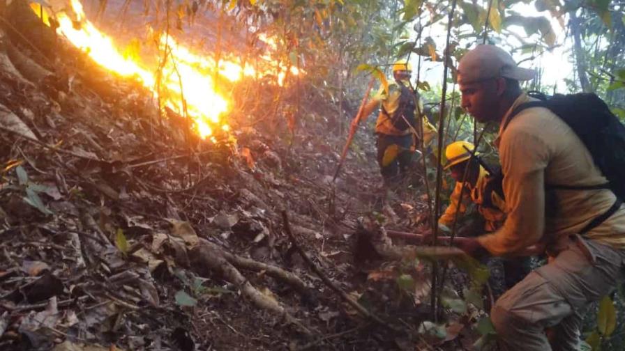 Investigan causa de incendio forestal que afecta Monumento Saltos de Jima