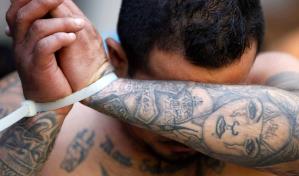 Desmantelan en Nueva York un grupo de 12 miembros de la mara Salvatrucha