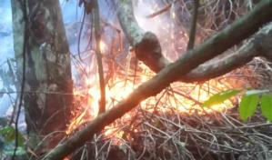 Reportan incendio forestal en Monumento Natural Saltos de Jima en Bonao