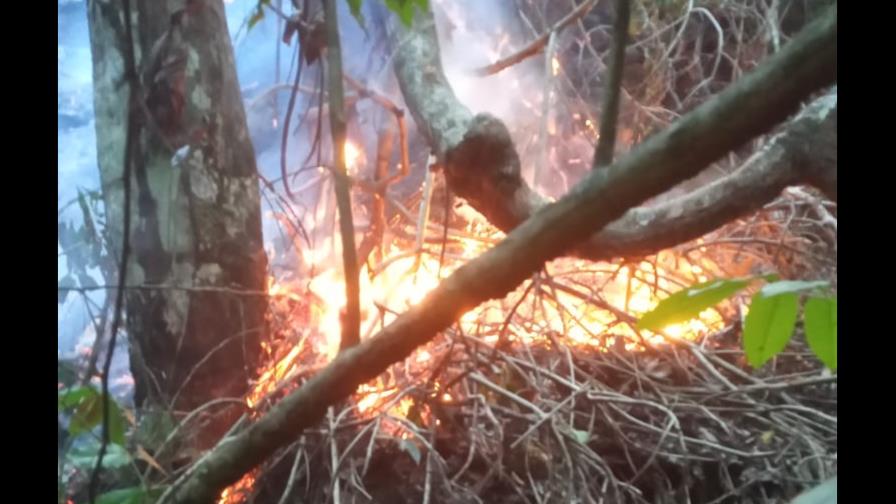 Reportan incendio forestal en Monumento Natural Saltos de Jima en Bonao