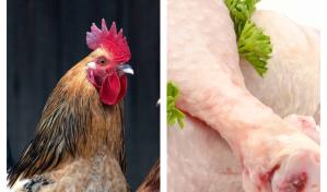 ¿Es pollo? Así sabe el primer bocado de carne “cultivada” a partir de células