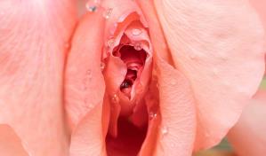 Sexualidad femenina: ¿cómo poner linda tu zona íntima?