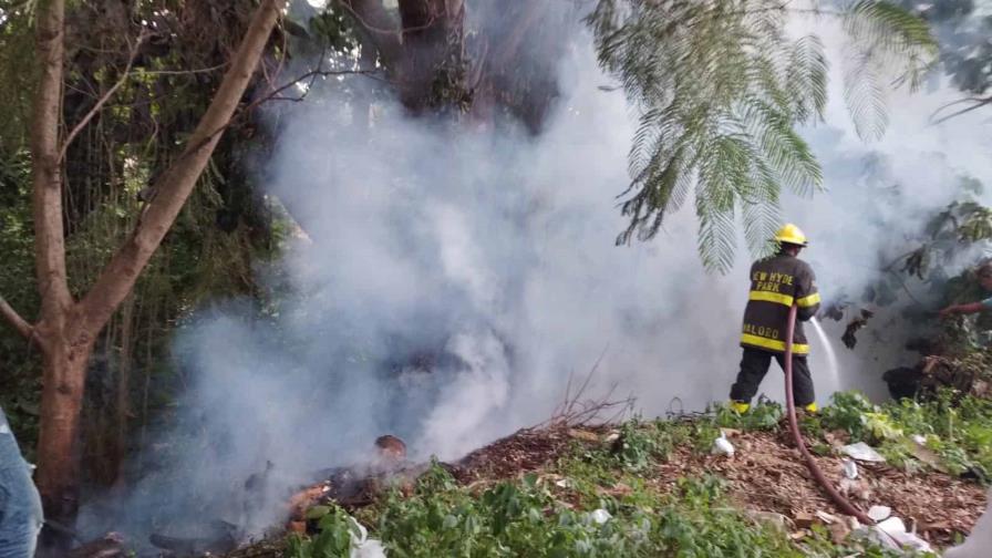 Se registra incendio forestal en Los Jardines del Norte