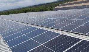 Corvi instala paneles solares para mejorar eficiencia en producción