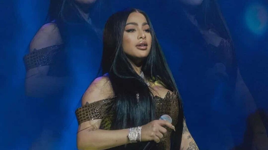 Caso de Yailin: ley impide armas modificadas como la ocupada durante detención de la urbana Caso de Yailin: ley impide armas modificadas como la ocupada durante detención de la urbana