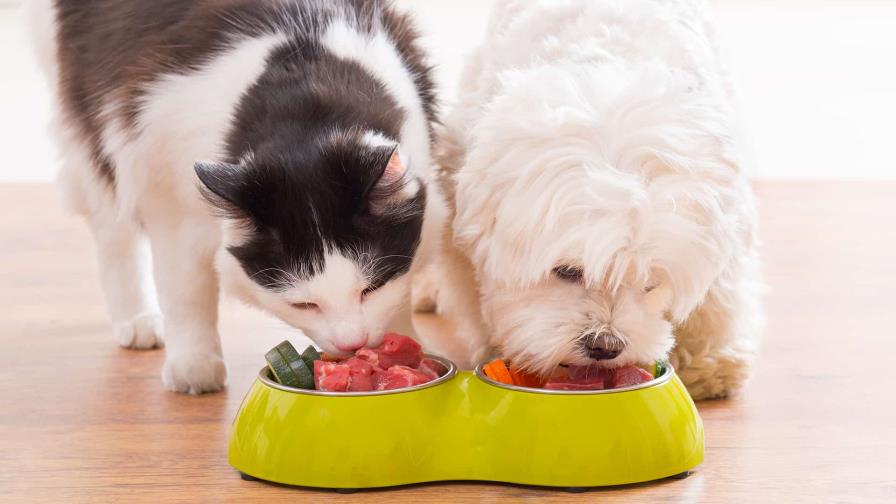 Alimentación específica para razas de perros y gatos
