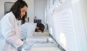 Conserje de universidad en NY apagó un congelador por error y eliminó años de investigación