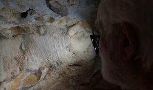 Hallan en Francia grabados de Neandertal, potencialmente los más antiguos de Europa
