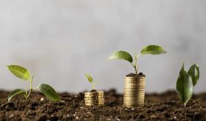 República Dominicana y Singapur firman acuerdo para generar créditos de carbono