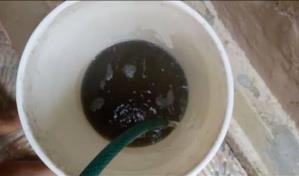 Comunitarios de Los Guaricanos denuncian que el agua le llega sucia