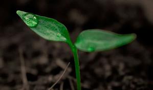 Casi el 80 % de latinos en EE.UU. está muy preocupado por el cambio climático