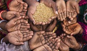 Al menos 44 personas mueren de hambre tras la suspensión de la ayuda para el norte etíope