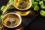 Lúpulo cultivado en Florida abre grandes oportunidades a la cerveza artesanal