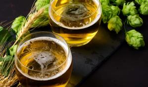 En España, lúpulo de alta tecnología para proteger la cerveza del cambio climático