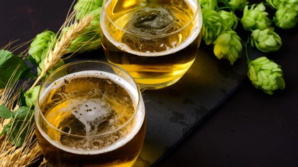 En España, lúpulo de alta tecnología para proteger la cerveza del cambio climático