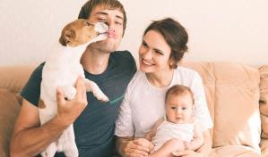 Cómo introducir una nueva mascota en tu hogar: consejos útiles