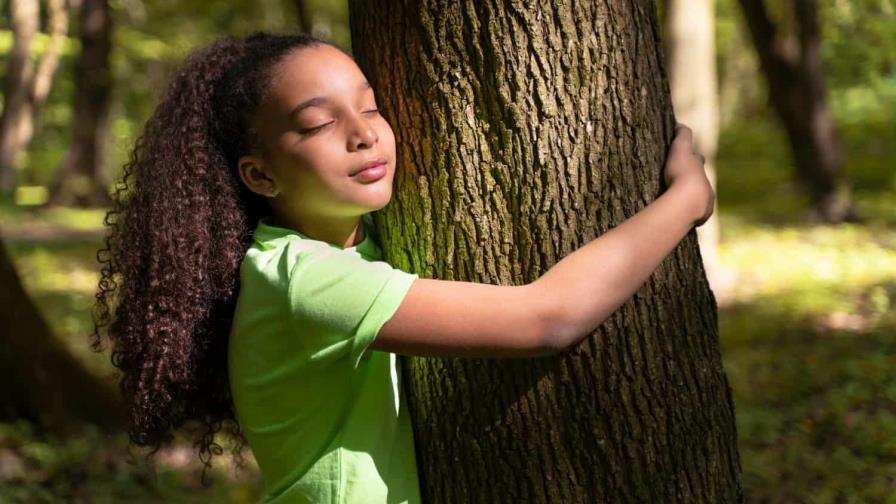 Cinco pequeños hábitos que tienen efectos muy positivos en el medio ambiente