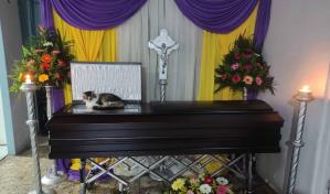 Nucita: la gata que no se despegó del ataúd de su dueño en su velorio