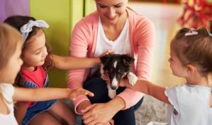 Entrenamiento efectivo: cómo educar a tu mascota de forma positiva