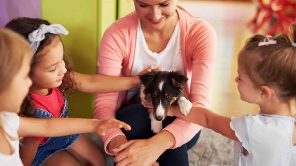 Entrenamiento efectivo: cómo educar a tu mascota de forma positiva