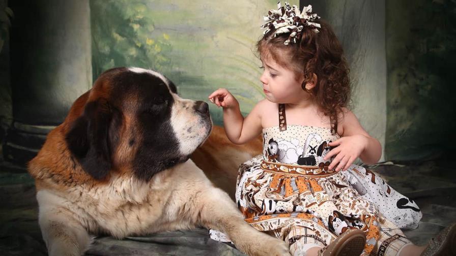 Mascotas y niños: relación segura