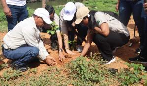 Inabie realiza jornada de reforestación en Don Juan, Monte Plata