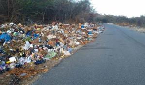 Empresa que presentó proyecto en Mata Gorda busca instalar planta para manejar desechos en Azua 