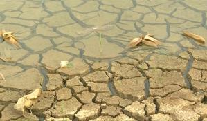 ONU insta a anticipar los efectos del fenómeno meteorológico de El Niño