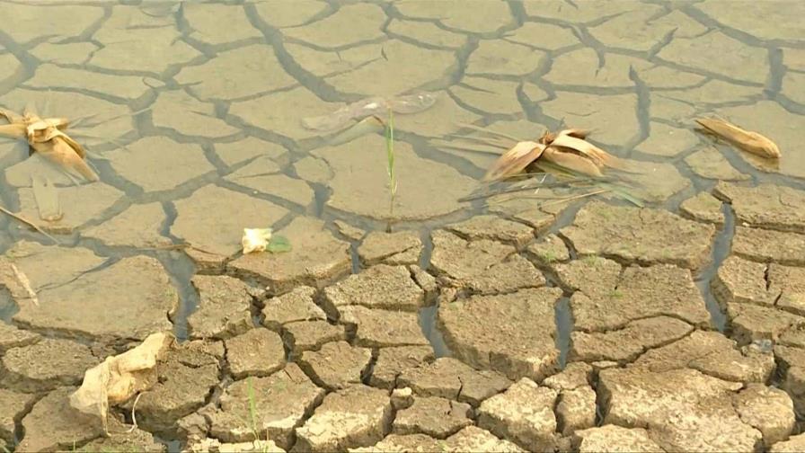 ONU insta a anticipar los efectos del fenómeno meteorológico de El Niño