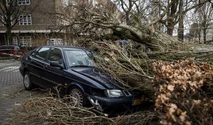 Muere una mujer al caer un árbol sobre su coche por la tormenta en Países Bajos