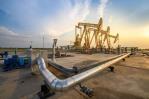 La OPEP dice que el mundo no puede vivir sin petróleo ni podrá en un futuro previsible La OPEP dice que el mundo no puede vivir sin petróleo ni podrá en un futuro previsible