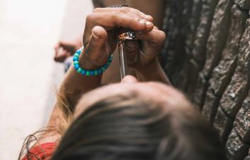 Tranq, el sedante animal de la droga zombi que borra la conciencia y pudre la carne