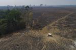 Deforestación en la Amazonía brasileña se reduce 33.6 % en primeros seis meses de gobierno de Lula Deforestación en la Amazonía brasileña se reduce 33.6 % en primeros seis meses de gobierno de Lula