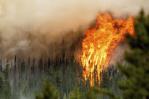 Incendios en Canadá rompen récords de área consumida, evacuaciones y costos Incendios en Canadá rompen récords de área consumida, evacuaciones y costos