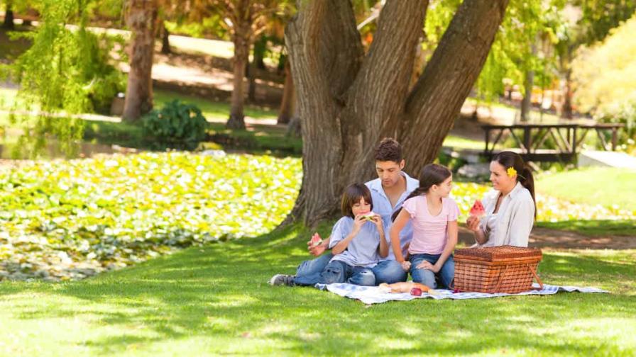 Ideas para organizar un picnic en el día del padre